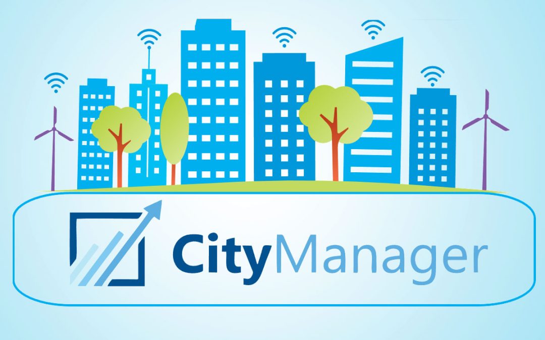 City Manger