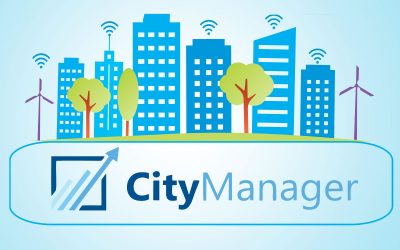 City Manger