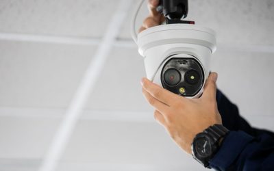 Importanța unui Sistem de Securitate